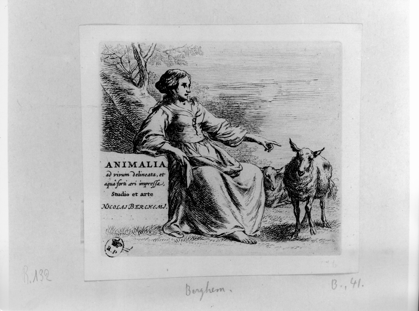 Frontespizio: "Animalia", frontespizio (stampa) di Berchem Nicolaes - ambito olandese (seconda metà sec. XVII)