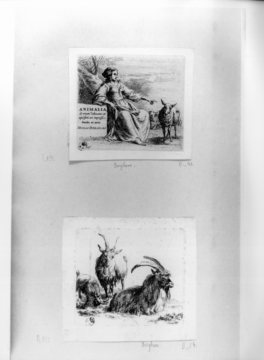 Due caproni, caproni (stampa) di Berchem Nicolaes - ambito olandese (seconda metà sec. XVII)
