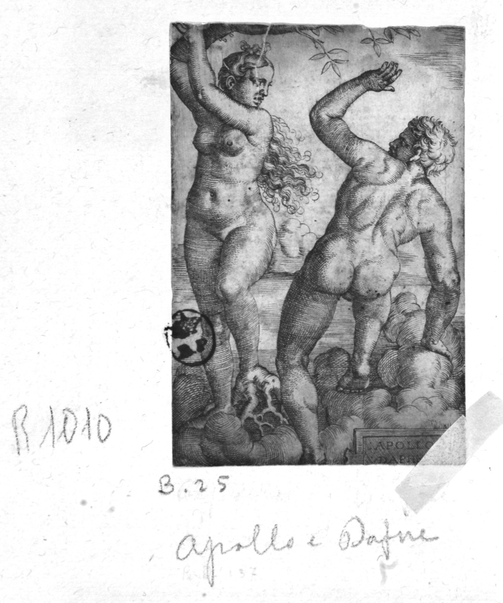 Apollo e Dafne, Apollo e Dafne (stampa smarginata) di Beham Barthel - ambito tedesco (prima metà sec. XVI)