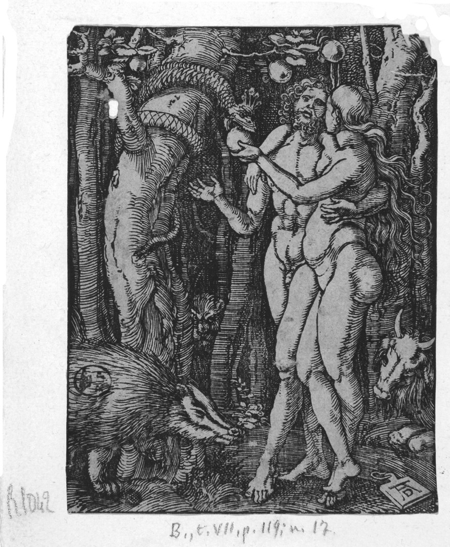 Adamo ed Eva, Eva prende il frutto dal serpente (stampa smarginata) di Durer Albrecht - ambito tedesco (primo quarto sec. XVI)