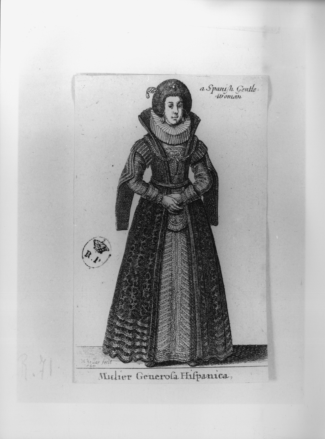 Mulier Generosa Hispanica, figura femminile in costume spagnolo (stampa smarginata, serie) di Hollar Wenzel (secondo quarto sec. XVII)
