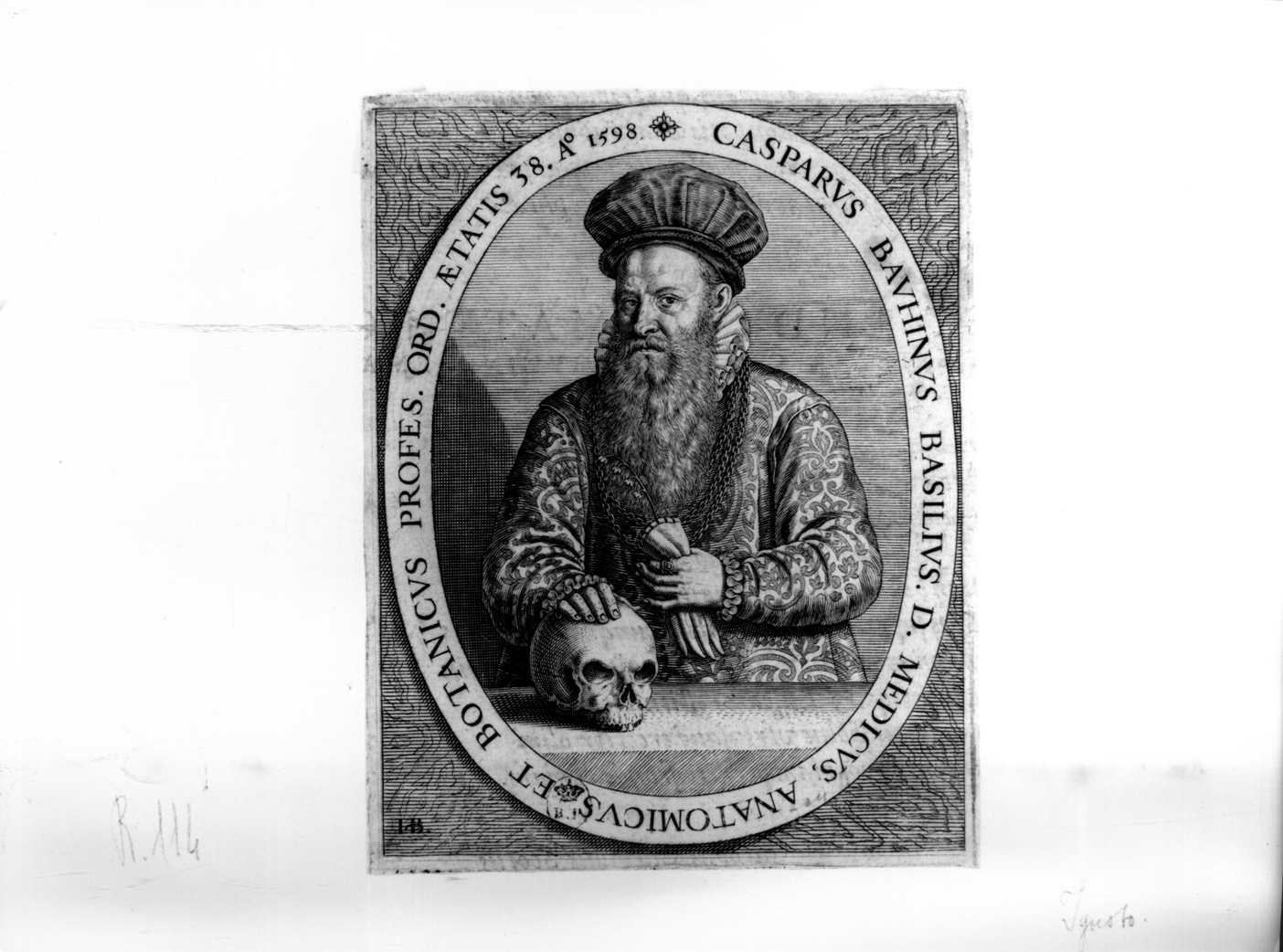 Ritratto di Gaspare Bavino, ritratto a mezzo busto del medico Gaspare Bavino (stampa smarginata, elemento d'insieme) - ambito tedesco (fine sec. XVI)