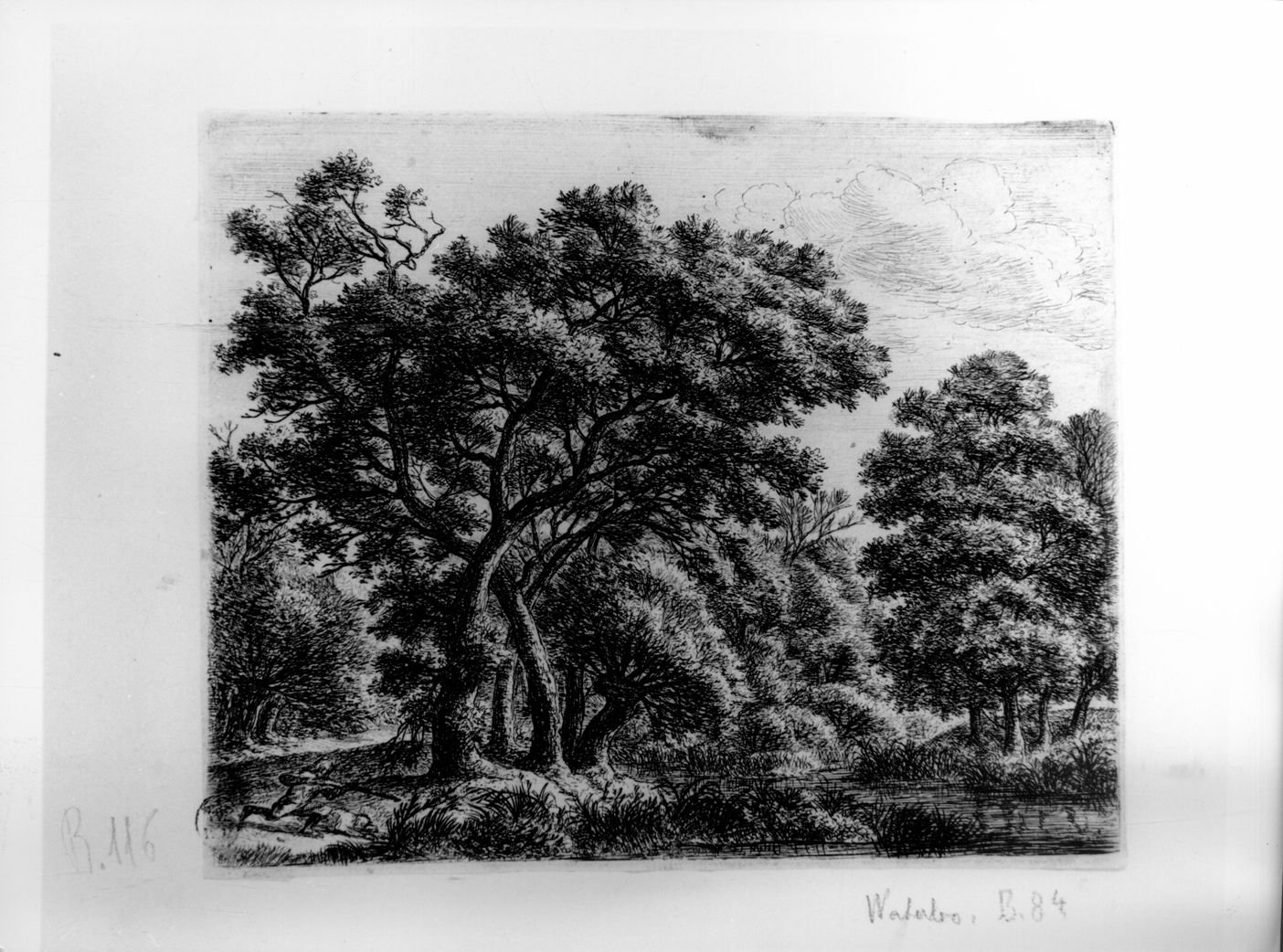 Il cacciatore di anatre, paesaggio con alberi e figure (stampa smarginata, elemento d'insieme) di Waterloo Anthonie (metà sec. XVII)