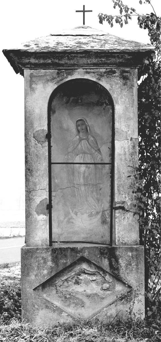 IMMACOLATA CONCEZIONE (dipinto, opera isolata) - ambito piemontese (sec. XIX)