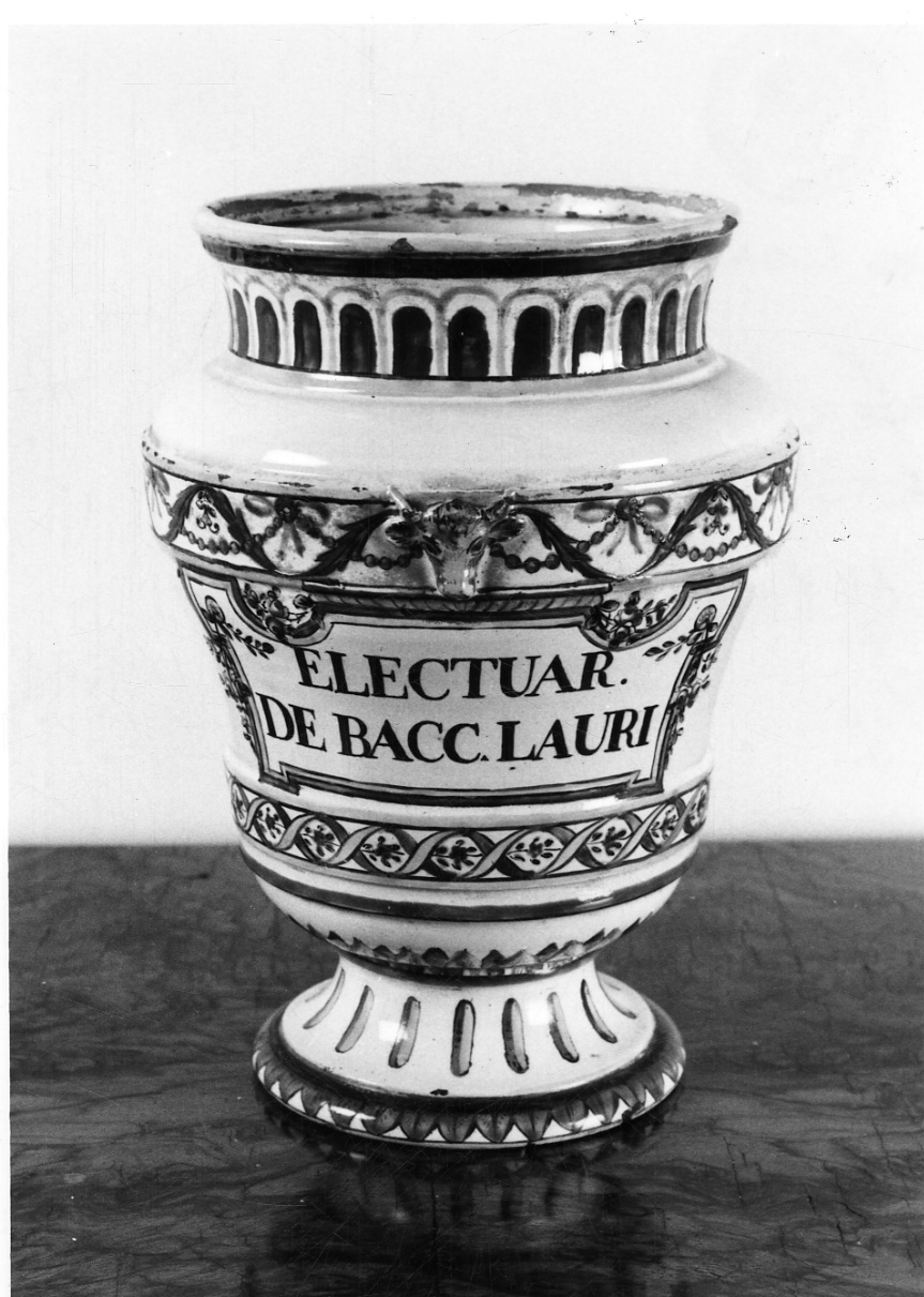 emblema della città di Torino (albarello, elemento d'insieme) di Rossetti Manifattura (fine sec. XVIII)