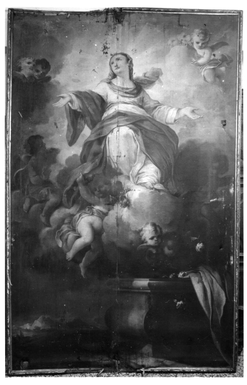 assunzione della Madonna (dipinto, opera isolata) di Trevisani Francesco (prima metà sec. XVIII)