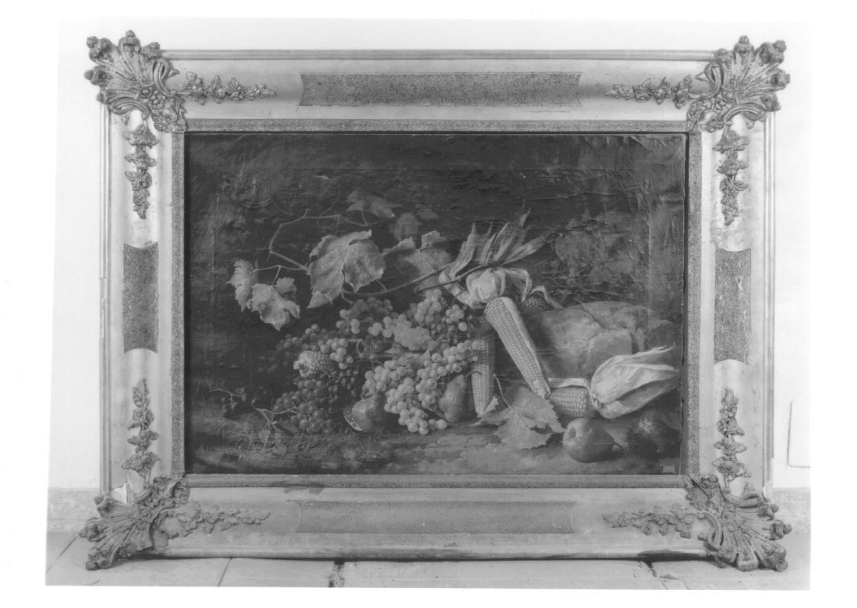 natura morta con frutta (dipinto, opera isolata) di Falchetti Giuseppe (terzo quarto sec. XIX)
