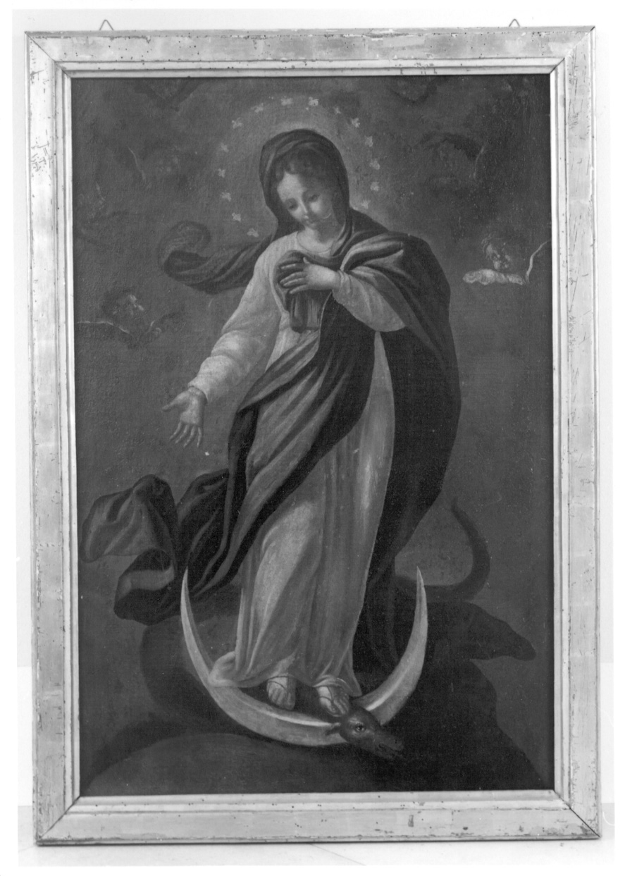 IMMACOLATA CONCEZIONE (dipinto, opera isolata) - ambito piemontese (seconda metà sec. XVIII)