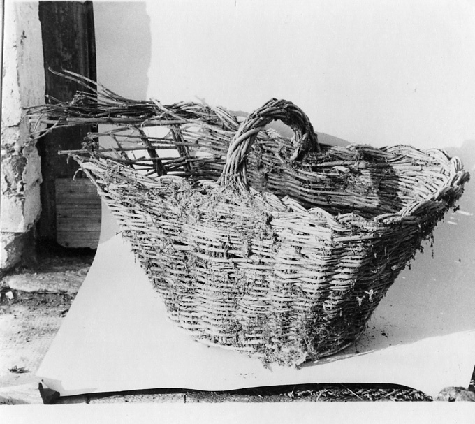 cesta - ambito astigiano (sec. XX)