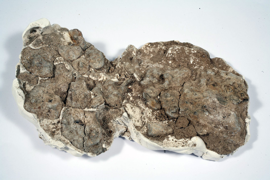 BORCHIA - ambito locale (secc. VI/ VII d.C)