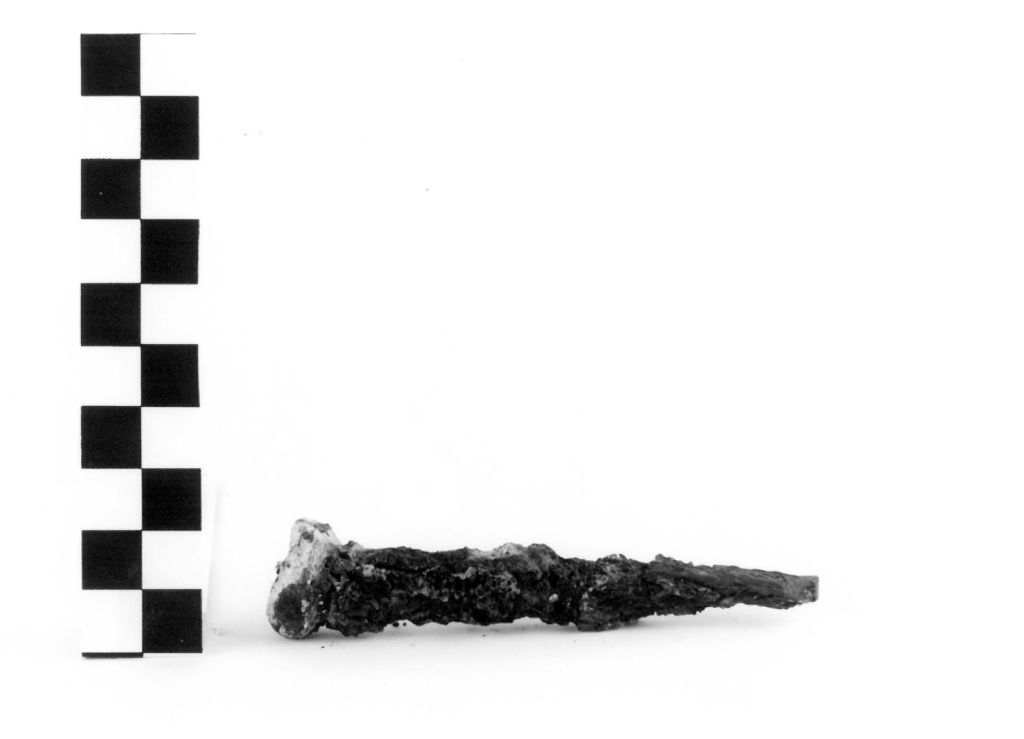 CHIODO - ambito locale (secc. III/ I a.C)