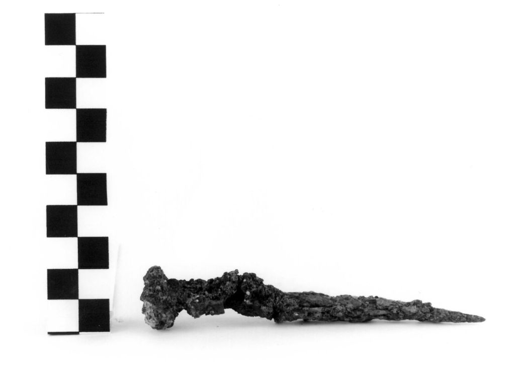 CHIODO - ambito locale (secc. III/ I a.C)