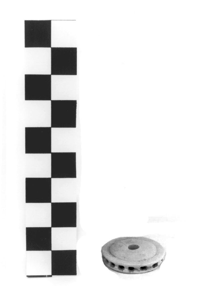 CONOCCHIA (ELEMENTO DI) - ambito italico (sec. II a.C)