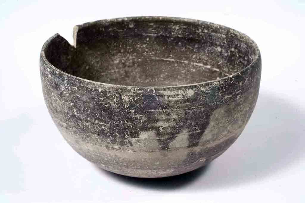 coppa/ emisferica, Morel, tipo 2121b 1 - ambito italico (sec. II a.C)