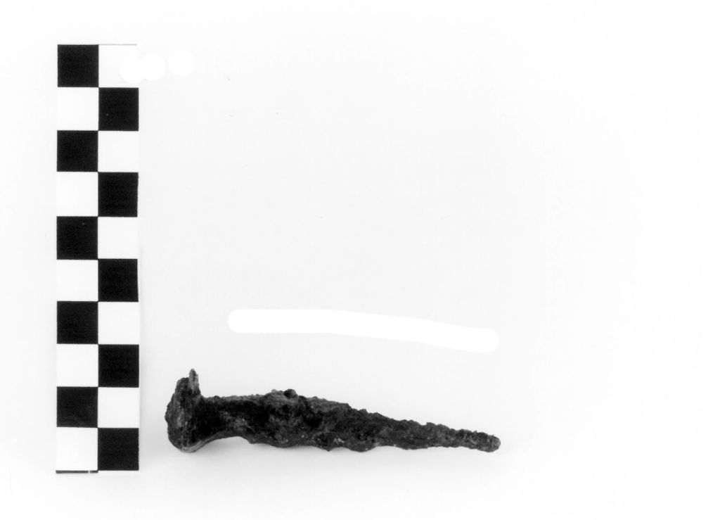 CHIODO - ambito locale (secc. III/ II a.C)