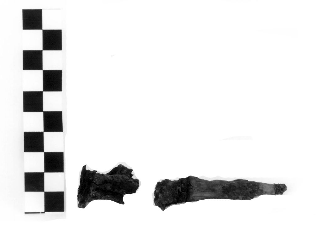 CHIODO - ambito locale (secc. III/ II a.C)