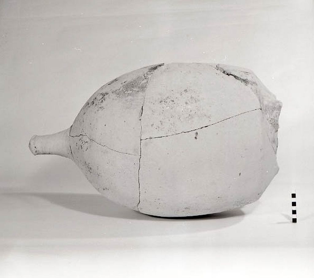 ANFORA DA TRASPORTO - ambito adriatico (secc. II/ I a.C)