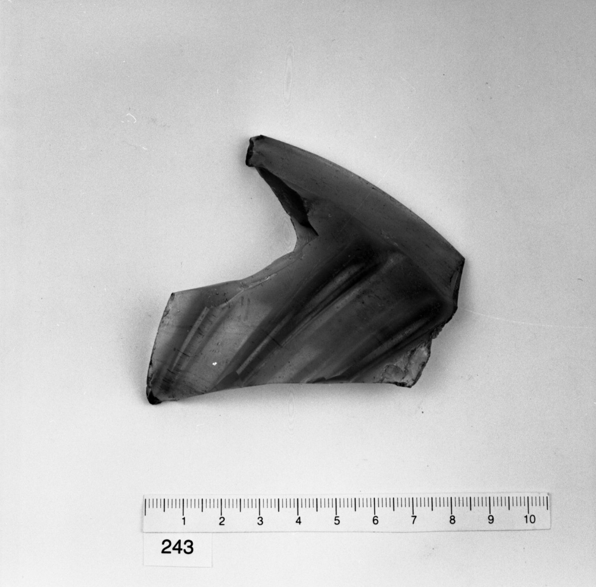 coppa/forma parzialmente ricostruibile, Isings 3a (I-II d.C)