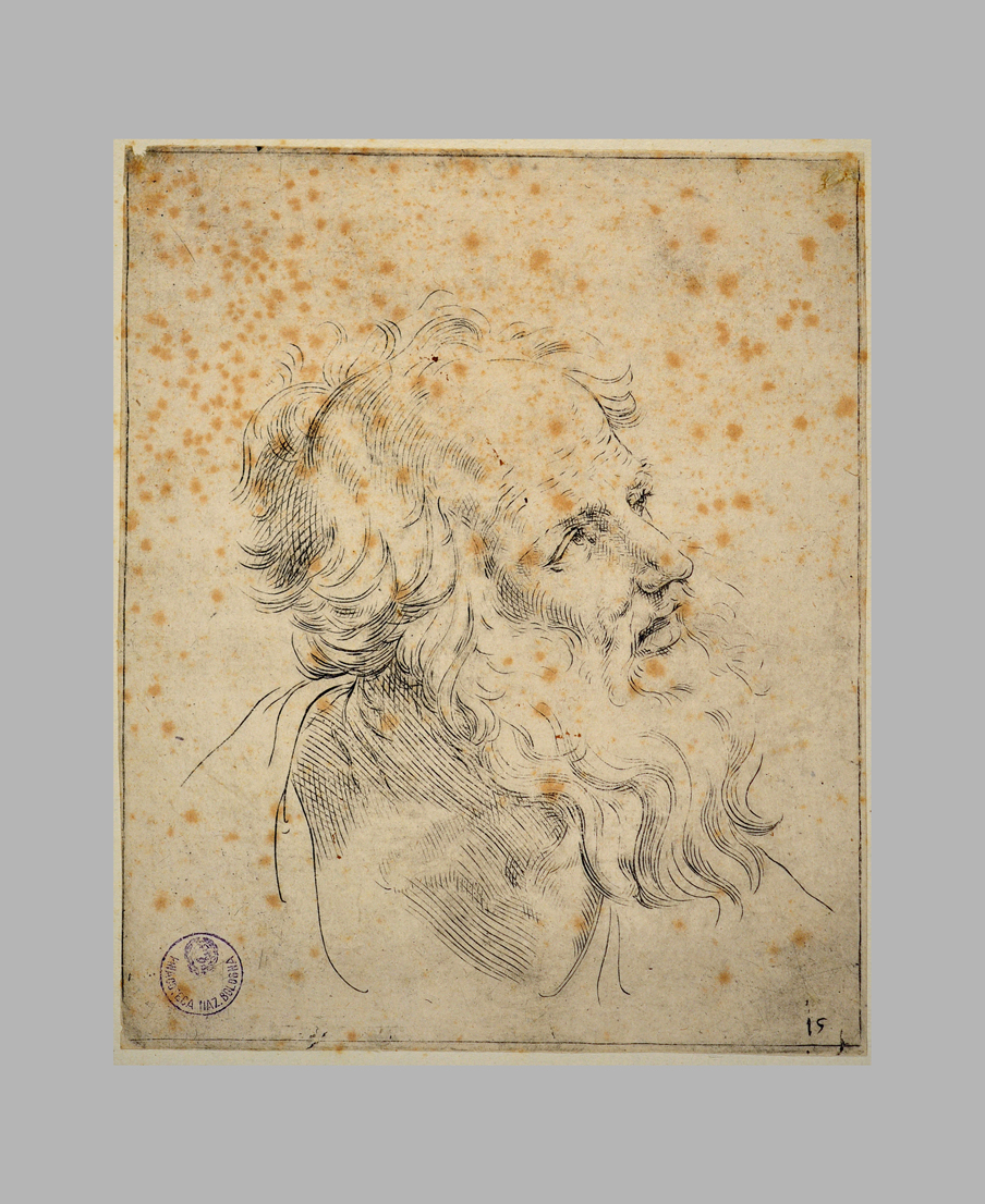 testa d'uomo con barba (stampa) di Curti Francesco, Reni Guido (sec. XVII)
