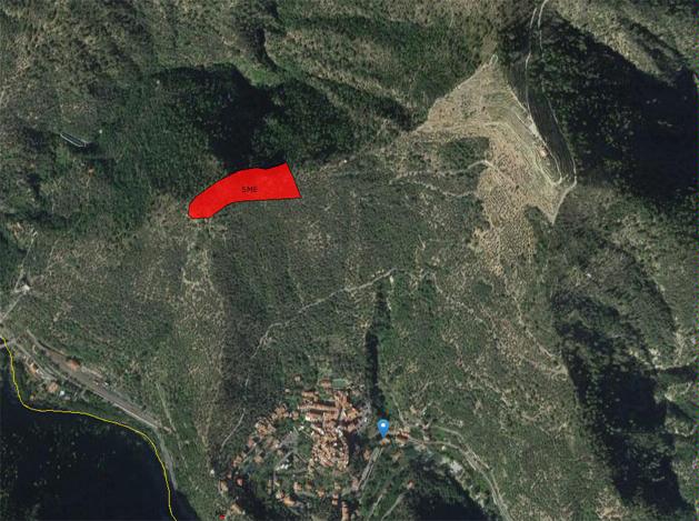 Il Colletto (sito non identificato) - Airole (IM)  (-)