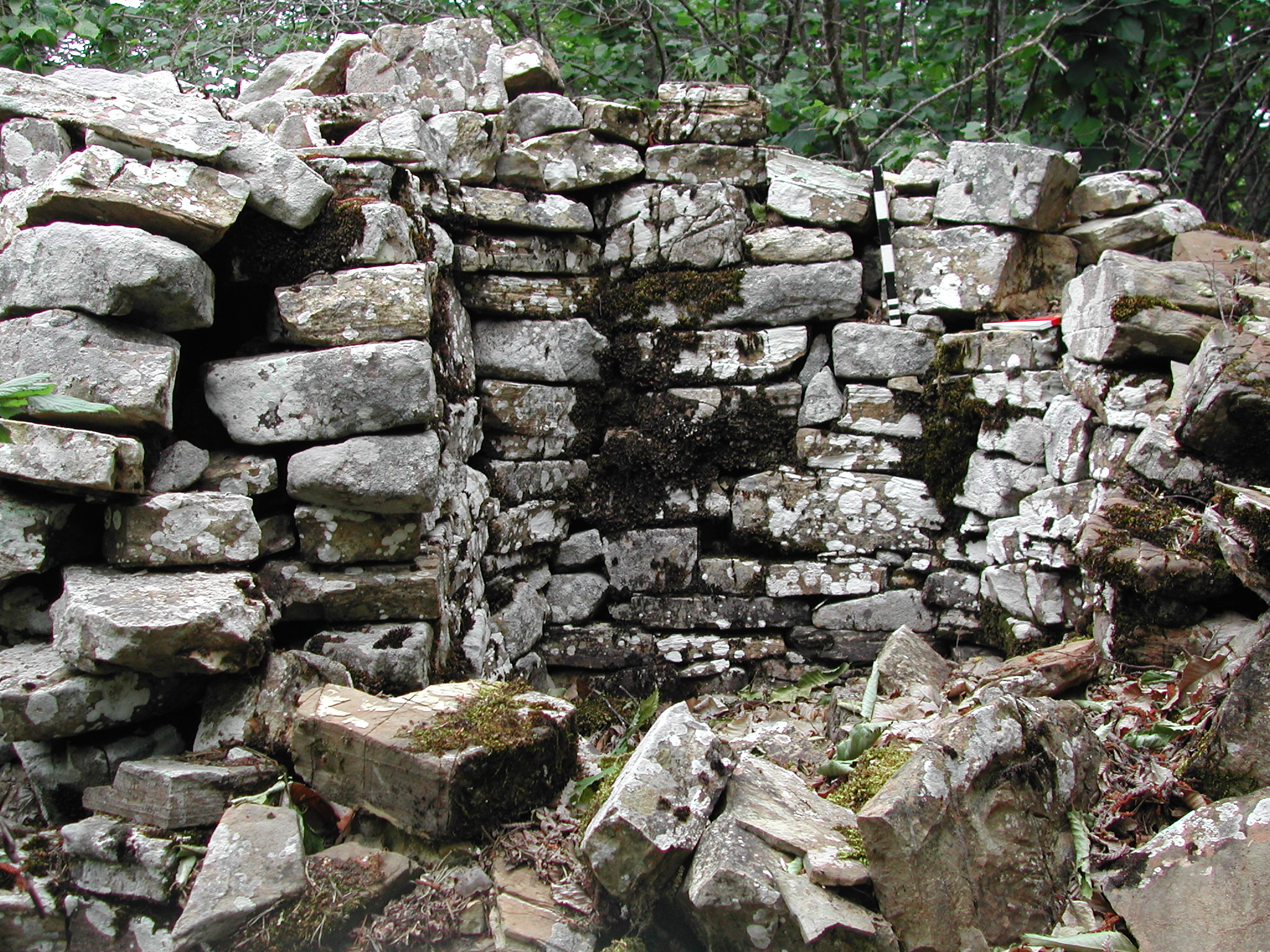 loc. Il Castello di Monte Merlo (insediamento, tracce di insediamento) - Ceriana (IM)  (Protostoria)