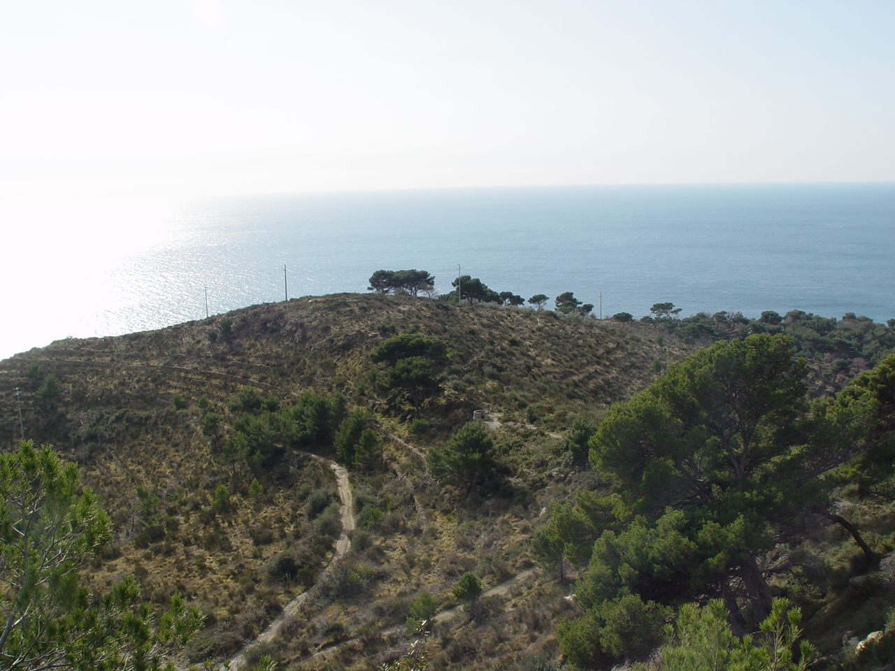 Castellareto di Cervo (insediamento, tracce di insediamento) - Cervo (IM)  (Protostoria)