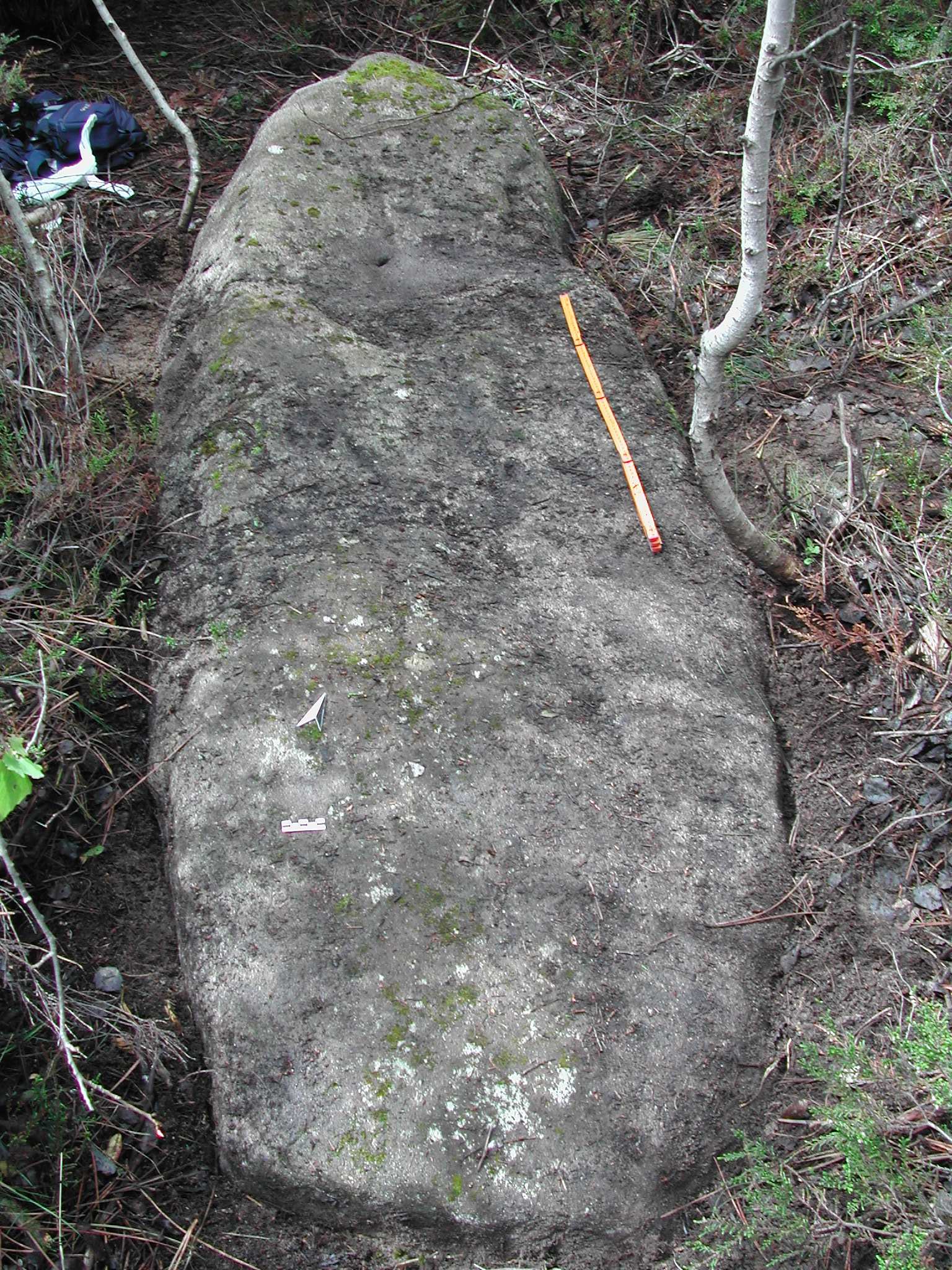 Menhir di Costa Bevino (strutture per il culto, luogo di culto rupestre) - Sanremo (IM)  (Eta' del rame)