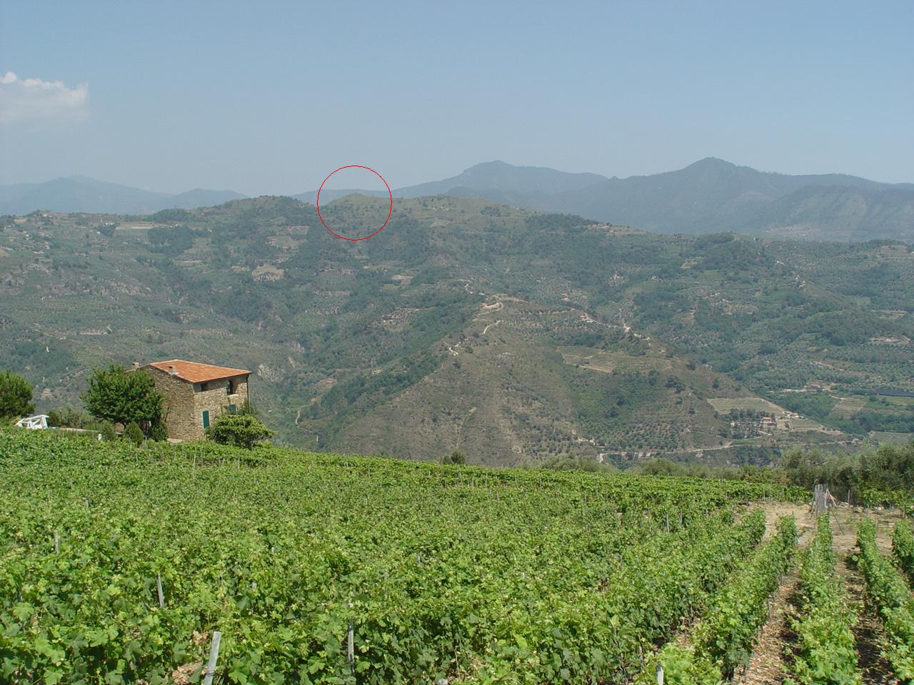 TORRE ALPICELLA (insediamento, tracce di insediamento) - Dolceacqua (IM)  (Età romana)