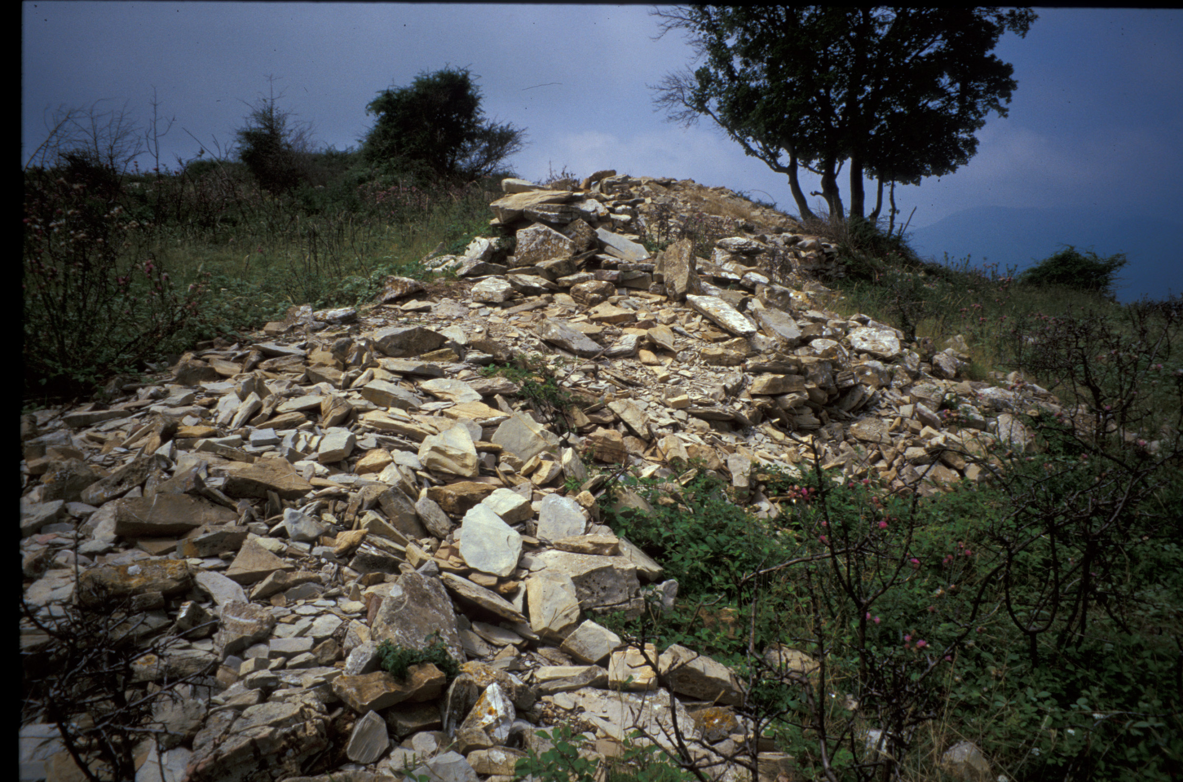 Monte Sette Fontane (insediamento, tracce di insediamento) - Castellaro (IM)  (Età romana imperiale)