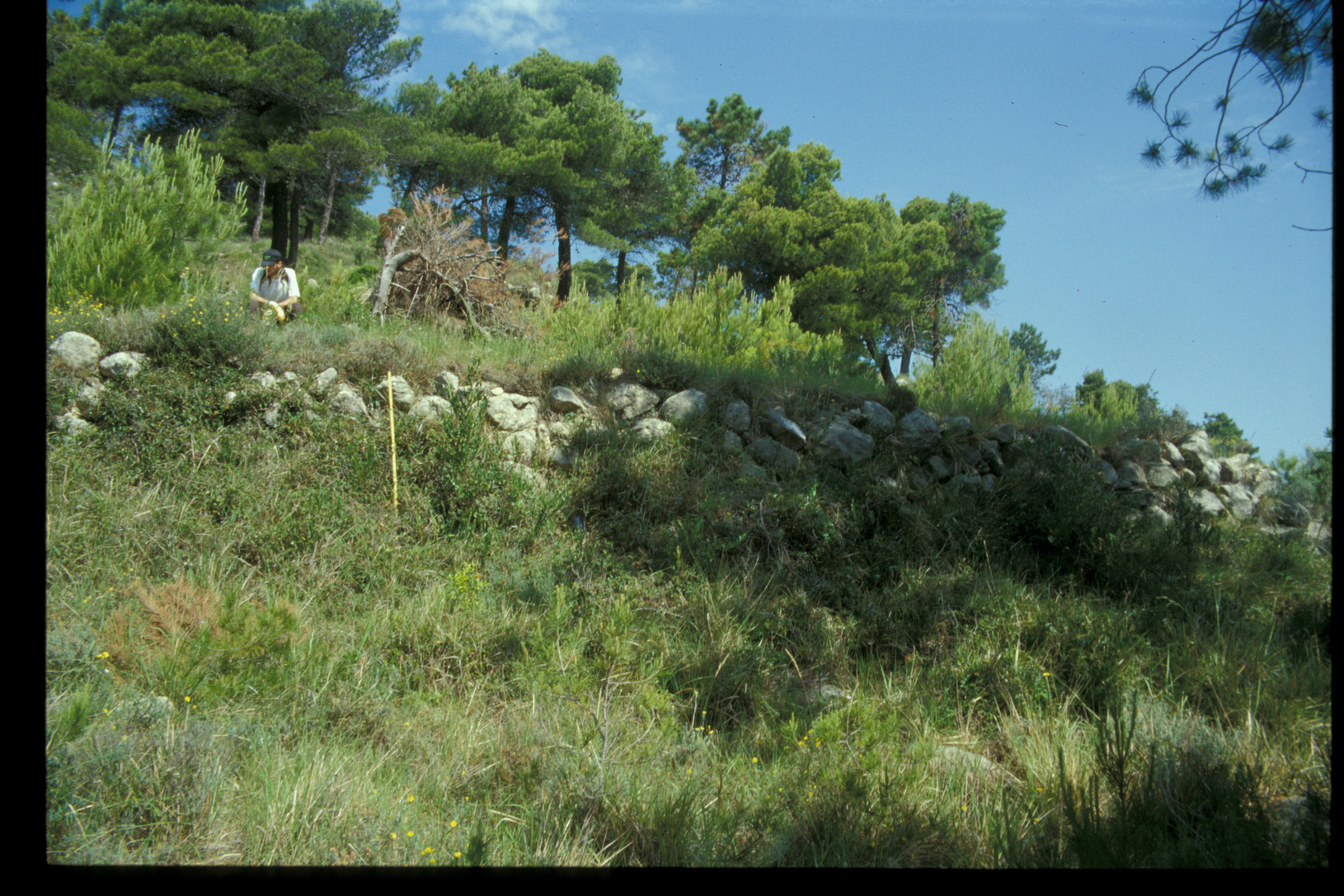 Monte Bellenda (insediamento, tracce di insediamento) - Ventimiglia (IM)  (Età romana)