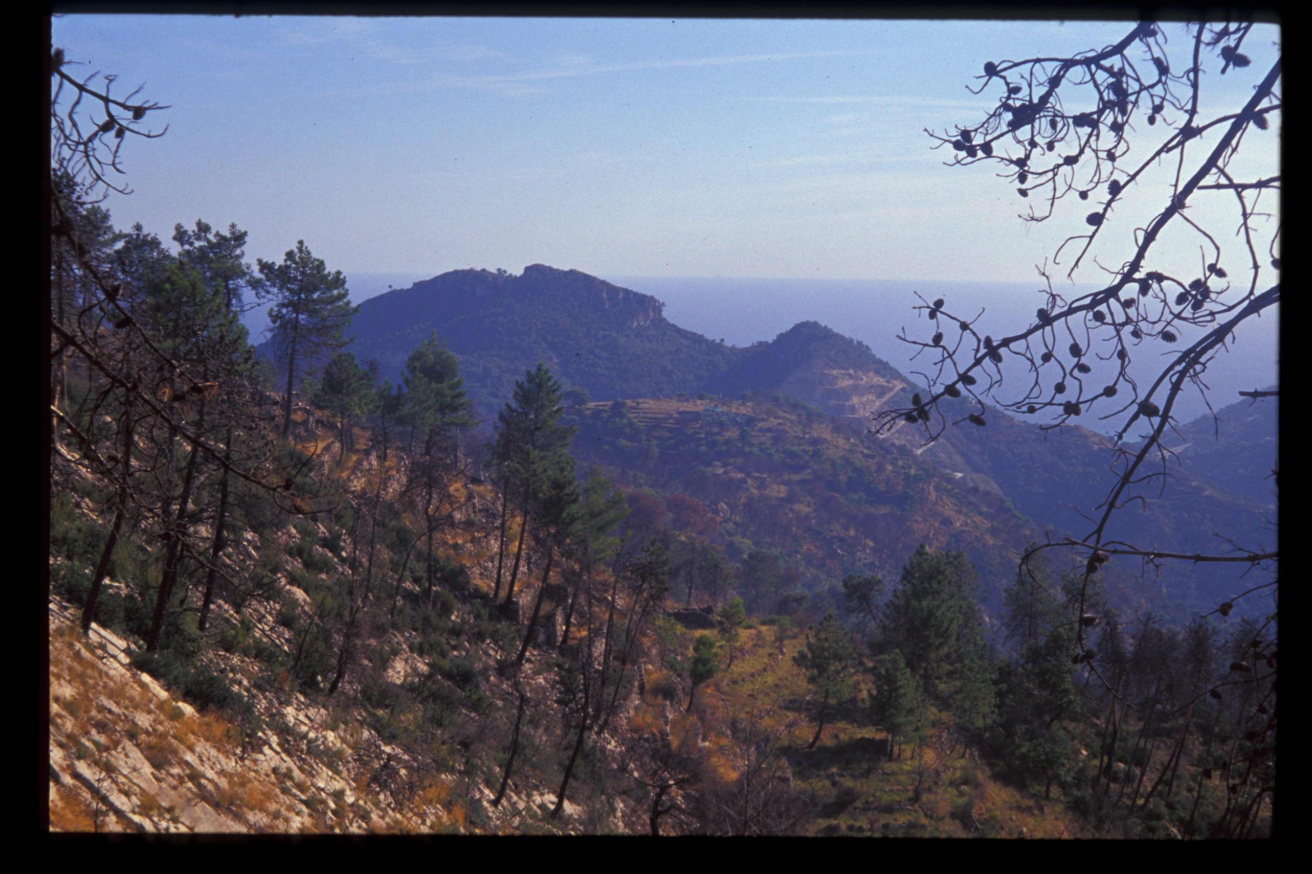 Colla di Bevera (insediamento, tracce di insediamento) - Ventimiglia (IM)  (Eta' romana)