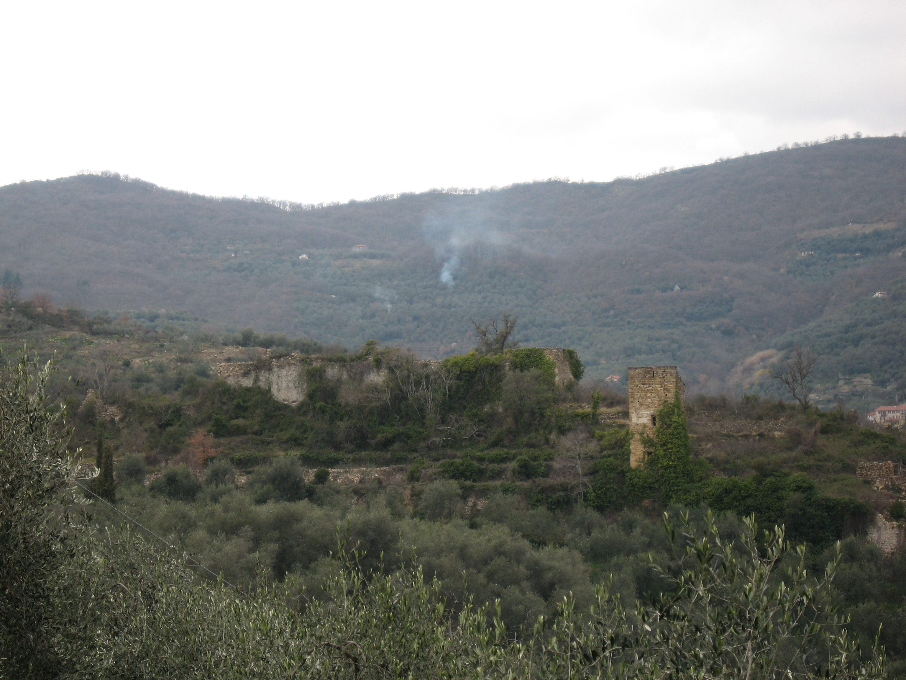 CASTELLO MEDIEVALE DI BESTAGNO (struttura di fortificazione, castello militare) - Pontedassio (IM)  (Età medievale)