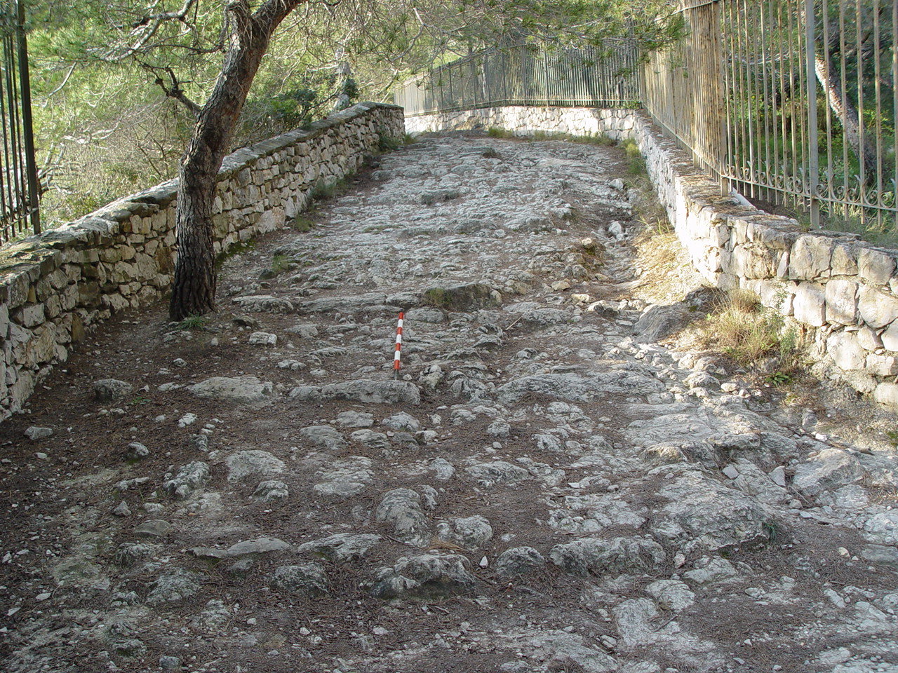 CAPO MORTOLA-VILLA HANBURY (infrastruttura viaria, tracciato viario) - Ventimiglia (IM)  (Età di Augusto)