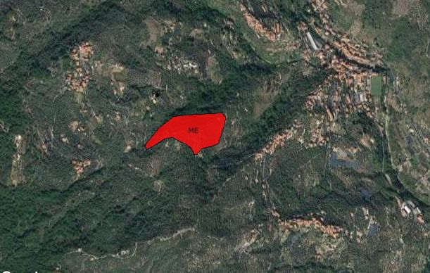 CASTELLAZZO DI DOLCEDO (insediamento, insediamento fortificato) - Dolcedo (IM)  (Età medievale)