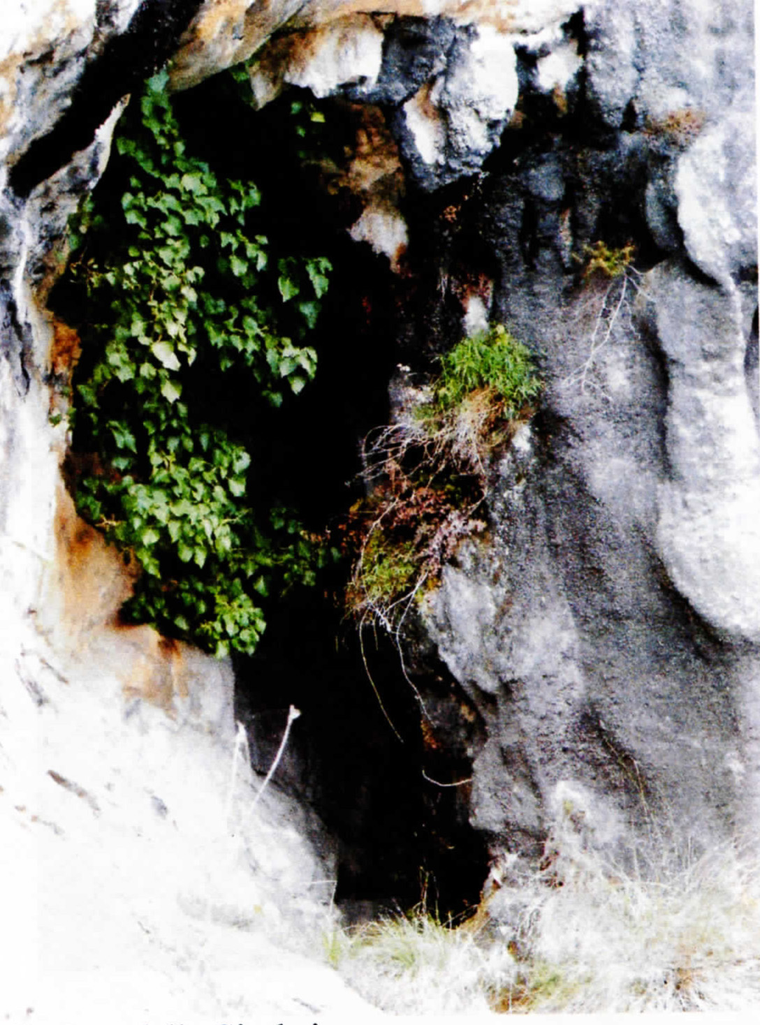 TANA DELLA GIACHEIRA (giacimento in cavità naturale, frequentazione antropica) - Pigna (IM)  (Età dei metalli)