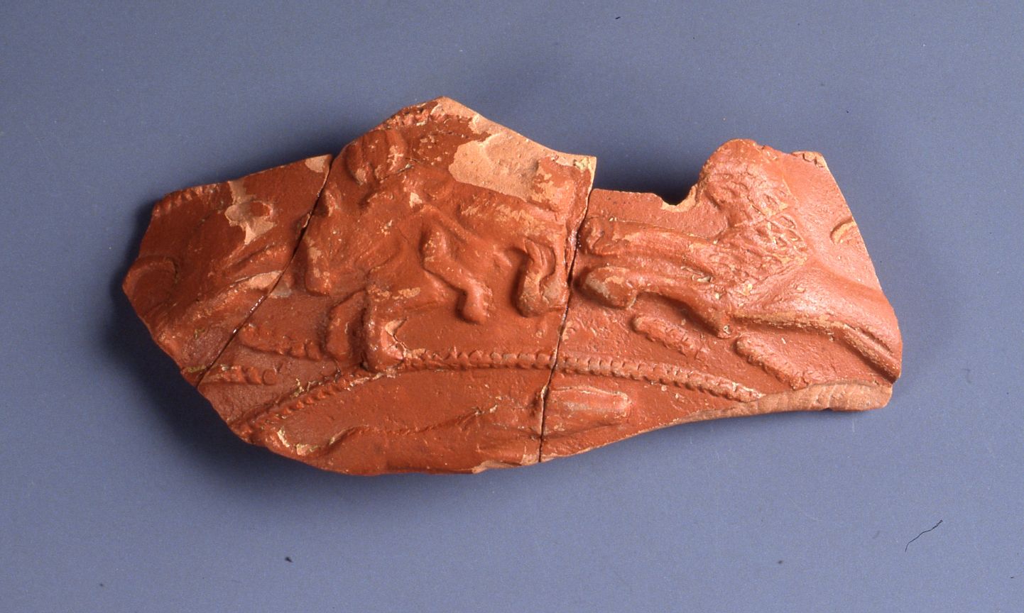 coppa/ emisferica, parete, Dragendorff 37 - ambito gallo romano, produzione di La Graufesenque (I-II)
