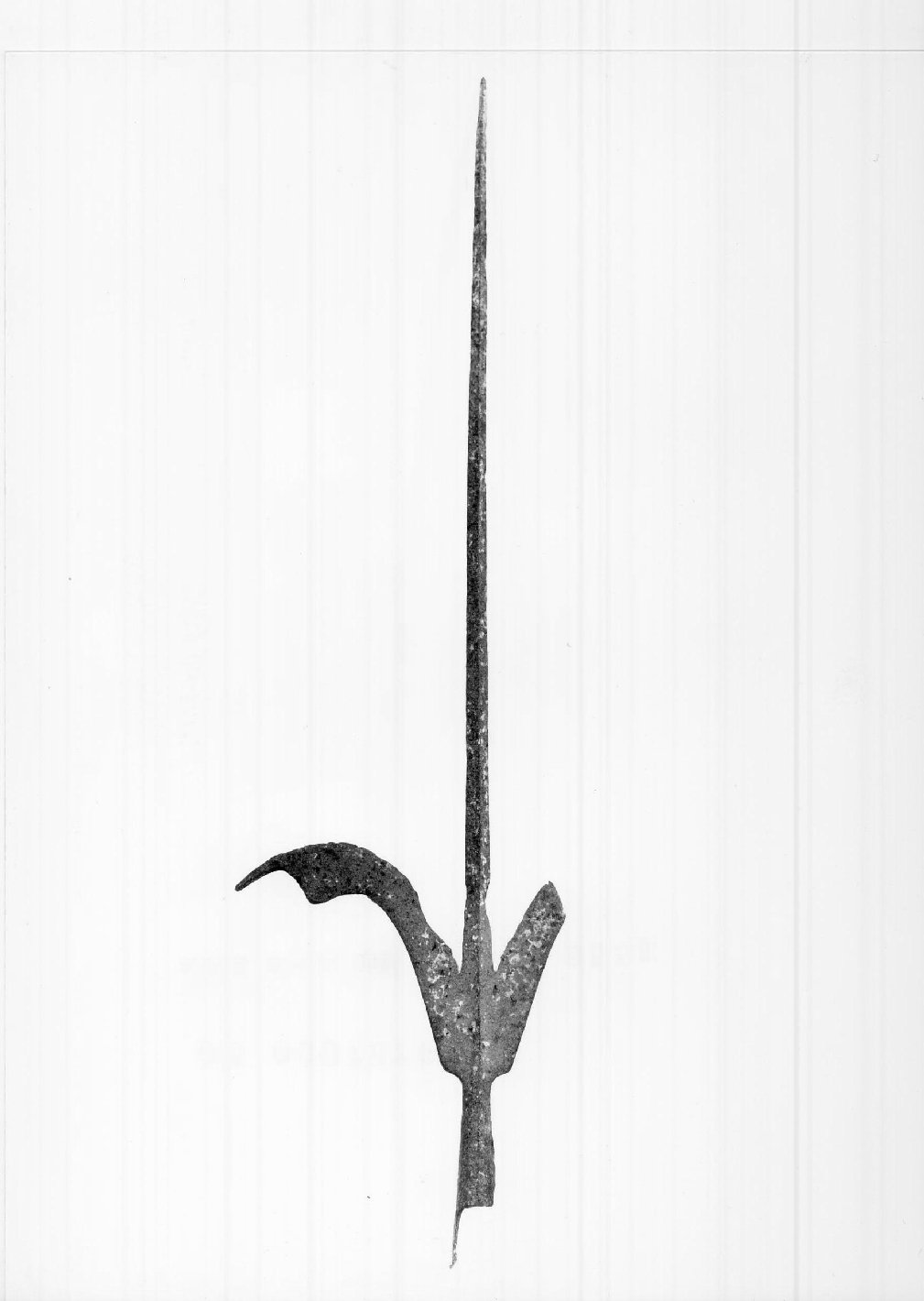 corsesca - bottega Italia settentrionale (primo quarto sec. XVII)