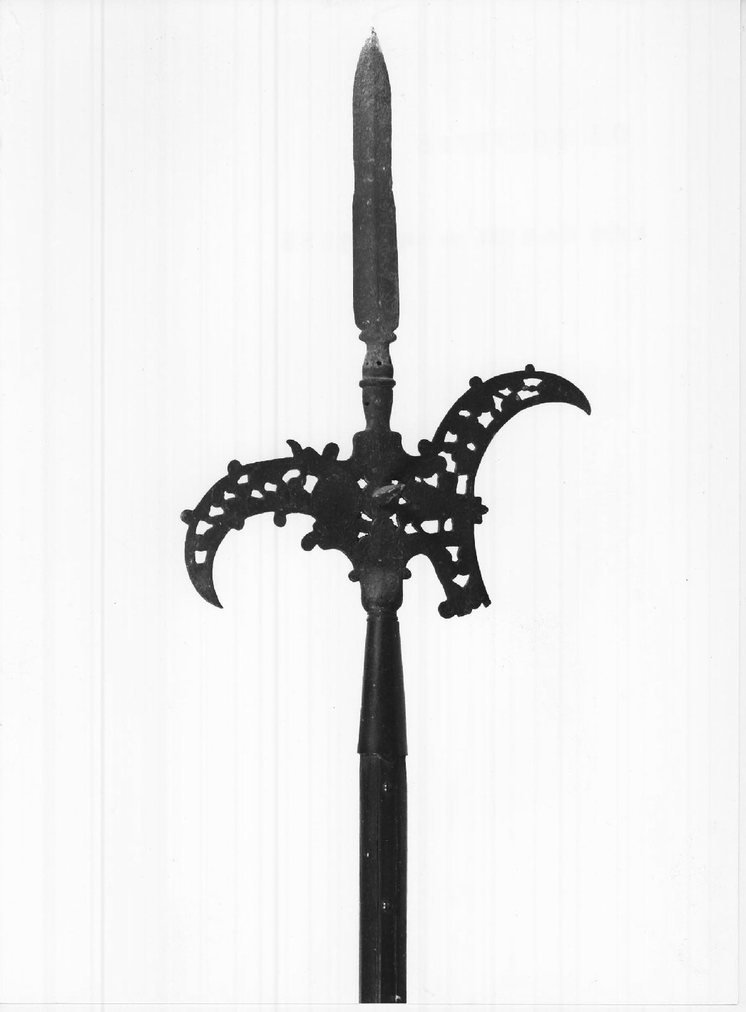 alabarda - bottega veneta (ultimo quarto sec. XVI)