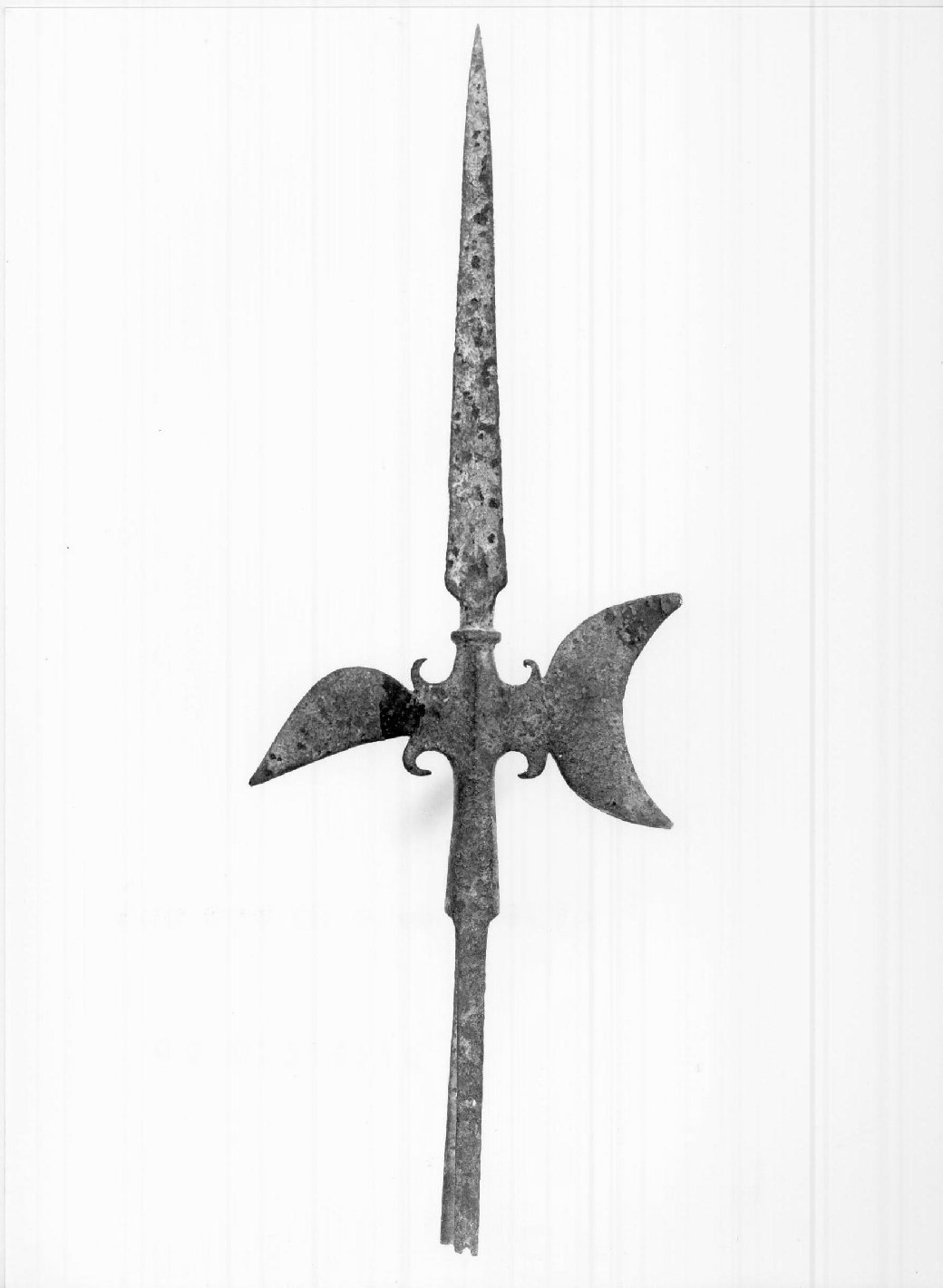 alabarda - bottega Italia settentrionale (fine/ inizio secc. XVII/ XVIII)