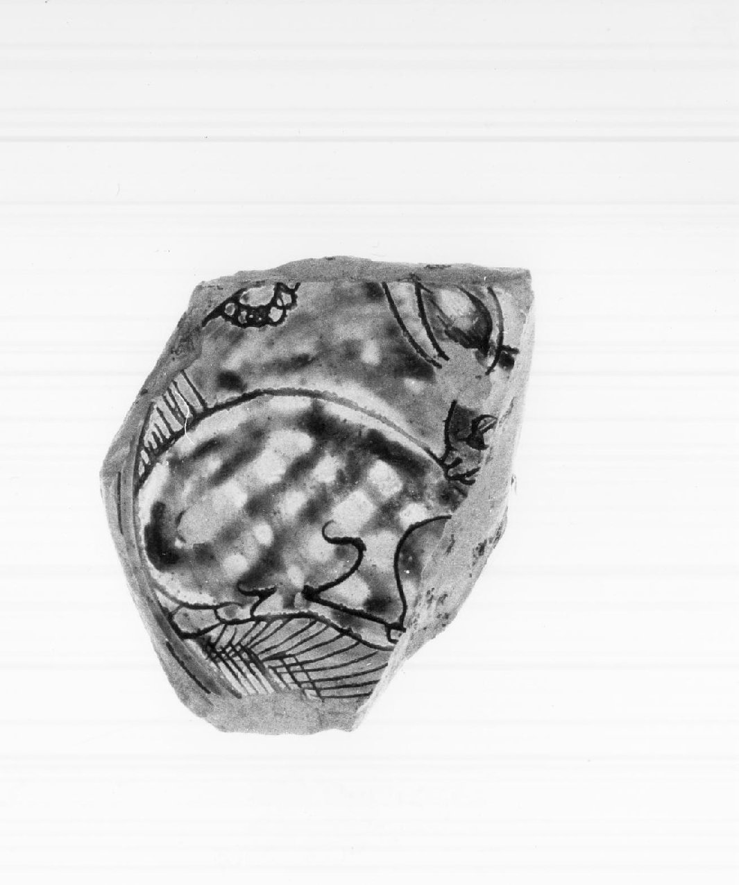 scodella, frammento - bottega mantovana (fine/inizio secc. XV/ XVI)