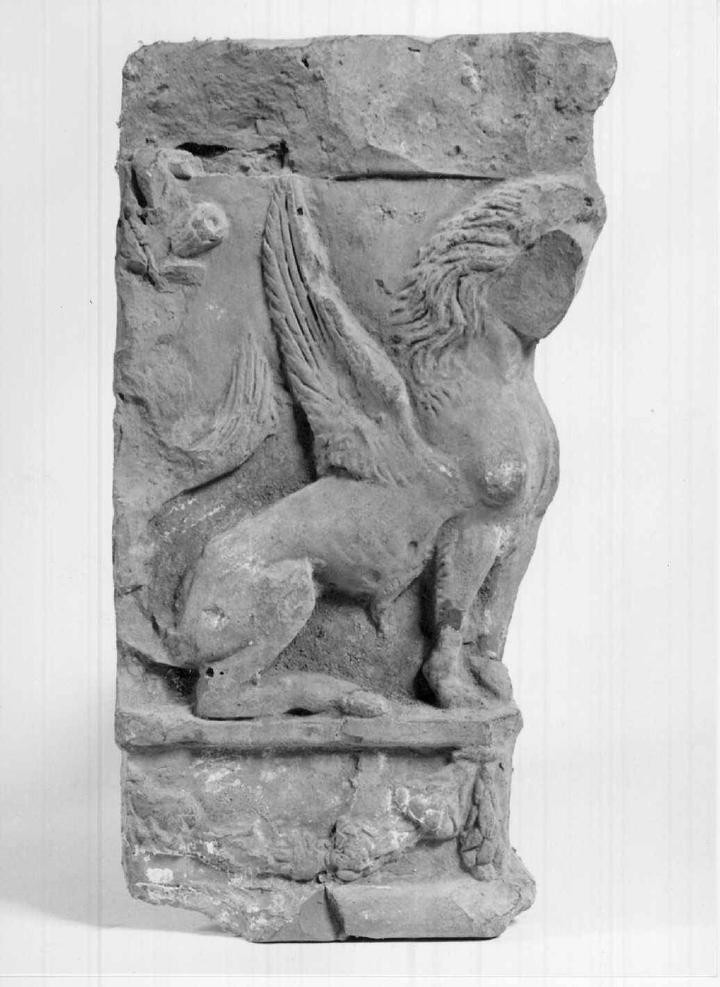 cornicione, frammento - manifattura mantovana (seconda metà sec. XV)