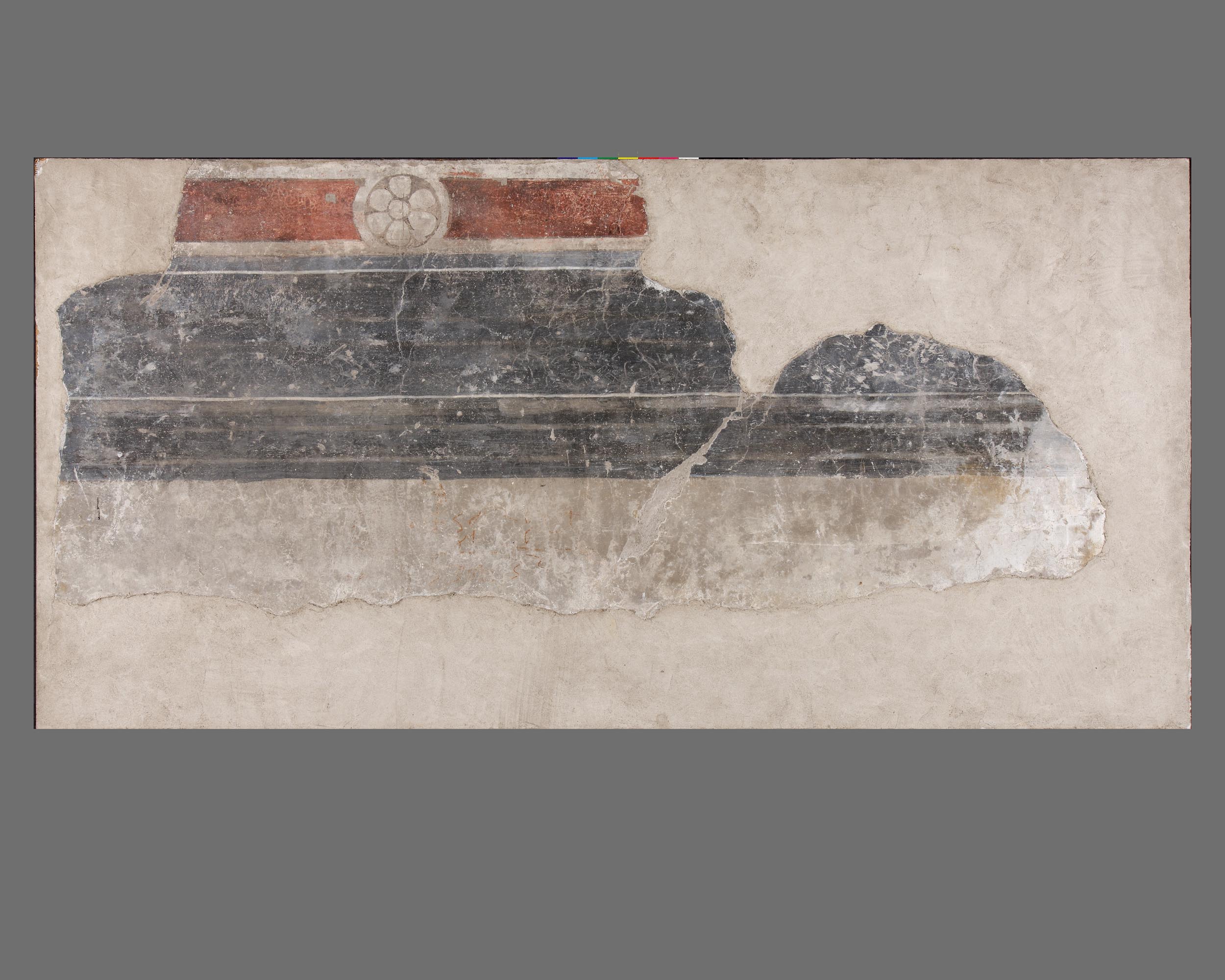 Fregio ornamentale con decorazione fitomorfa (dipinto, frammento) di Leombruno Lorenzo (cerchia) (sec. XVI)