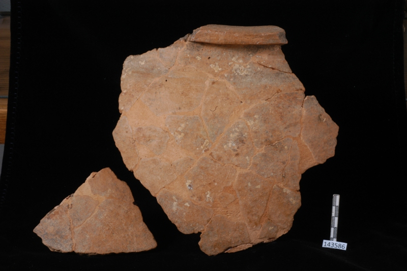 olla/frammento (VII sec. a.C.-VI sec. a.C)