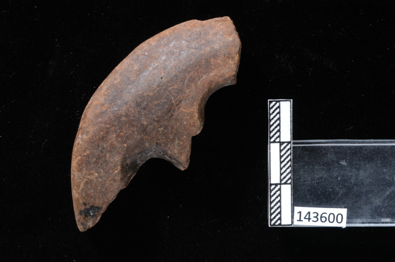 vaso/ansa (VIII sec. a.C)