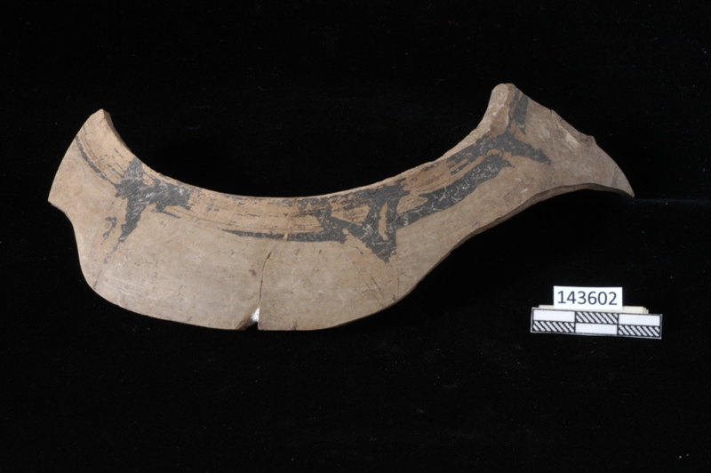 anfora/parete (VII sec. a.C)