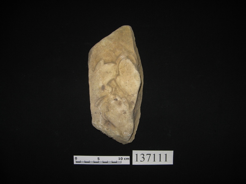 elemento lapideo con decorazione vegetale/framment 