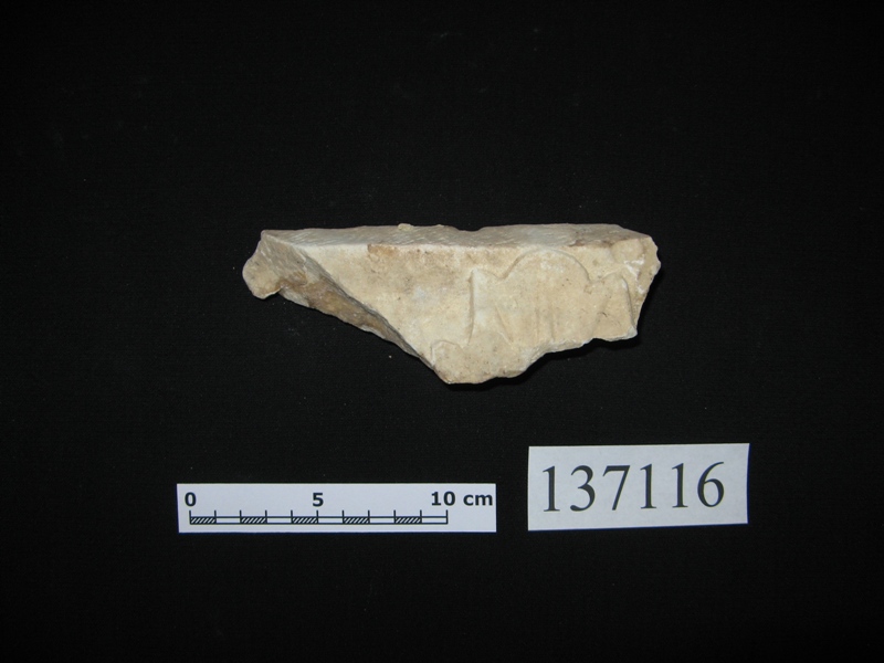 elemento lapideo con decorazione vegetale/framment 