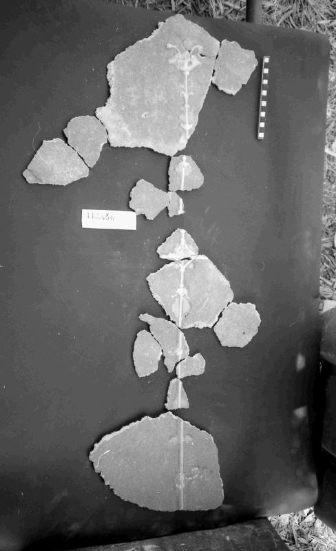 rivestimento ad intonaco/frammento (I sec. a.C.-I sec. d.C)