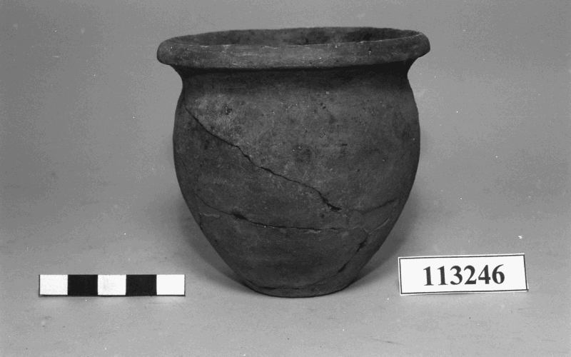 olletta cilindro-ovoide 