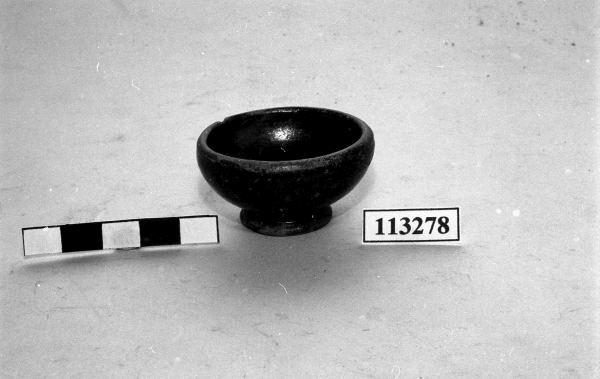 coppa miniaturistica 